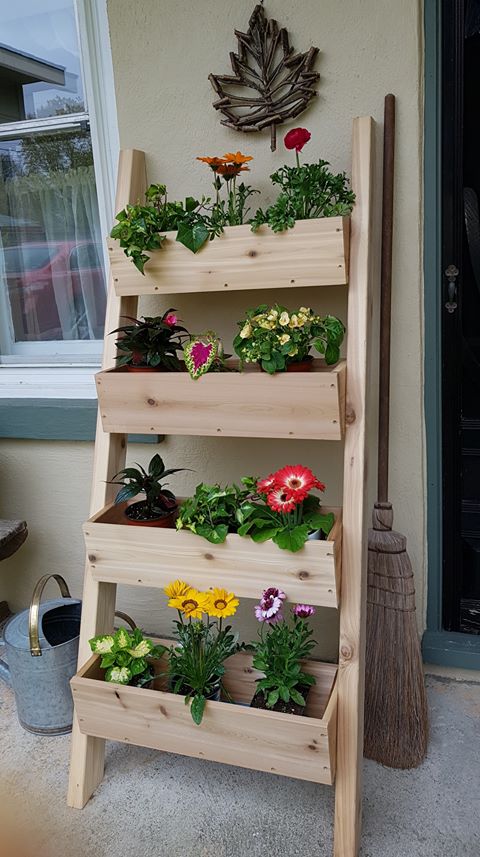 Tiered Cedar Ladder Planter