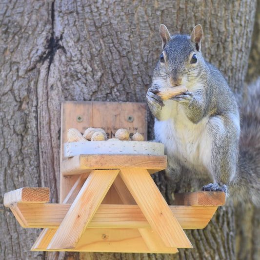 JuniorMaker Picnic Table Squirrel Feeder Kit